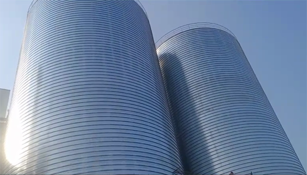 什玲镇2座混凝土高架卷板仓